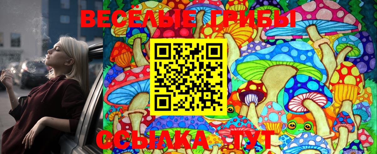 Псилоцибиновые грибы GOLDEN TEACHER  Галлюциногенные грибы Psilocybe  Вход с VPN  Алушта 